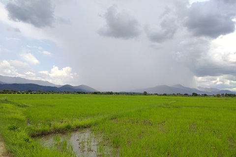 Chiang Mai: 25 km di tempo libero in mountain bike e kayak nella giunglaDa Chiang Mai: tour in bici e kayak