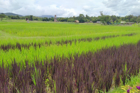 Chiang Mai: 25 km di tempo libero in mountain bike e kayak nella giunglaDa Chiang Mai: tour in bici e kayak