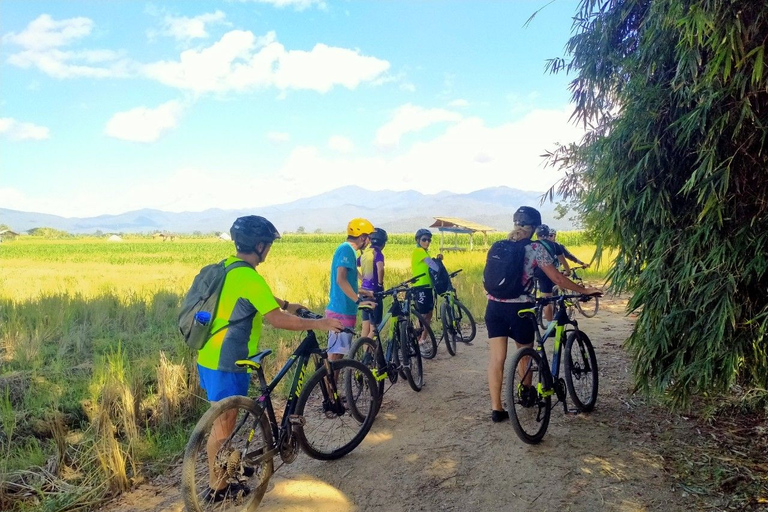 Chiang Mai: 25 km di tempo libero in mountain bike e kayak nella giunglaDa Chiang Mai: tour in bici e kayak