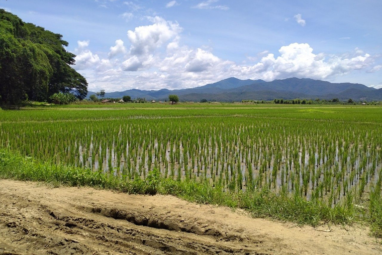 Chiang Mai: 25 km di tempo libero in mountain bike e kayak nella giunglaDa Chiang Mai: tour in bici e kayak