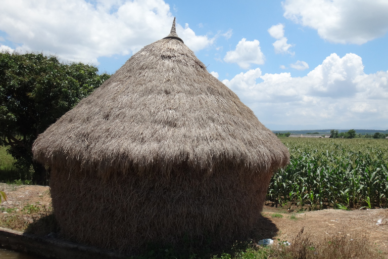 Chiang Mai: 25 km di tempo libero in mountain bike e kayak nella giunglaDa Chiang Mai: tour in bici e kayak