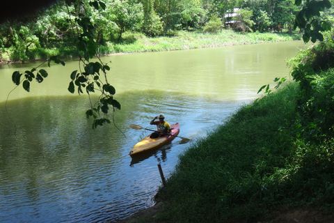 Van Chiang Mai: Mae Taeng Forest Full-Day River Kayaking