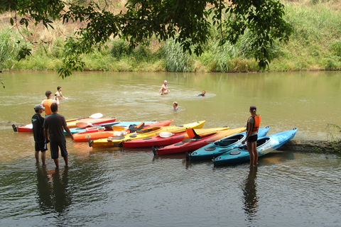 Van Chiang Mai: Mae Taeng Forest Full-Day River Kayaking