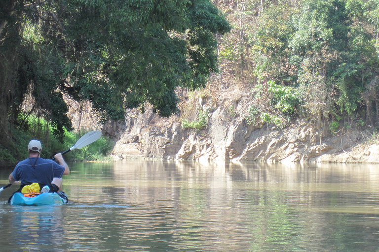 Van Chiang Mai: Mae Taeng Forest Full-Day River Kayaking