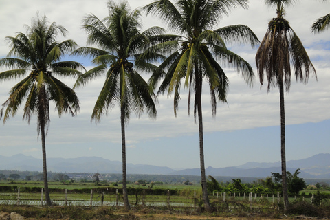 Desde Chiang Mai: Bosque de Mae Taeng Full Day Day Kayaking