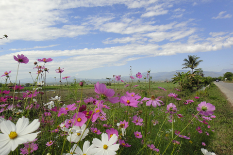 Desde Chiang Mai: Bosque de Mae Taeng Full Day Day Kayaking