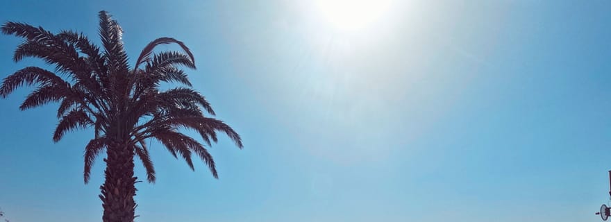 Plongée avec tuba depuis le rivage