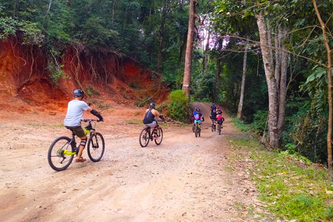 Chiang Mai: 20km Downhill Mountain Biking Challenge Suthep M