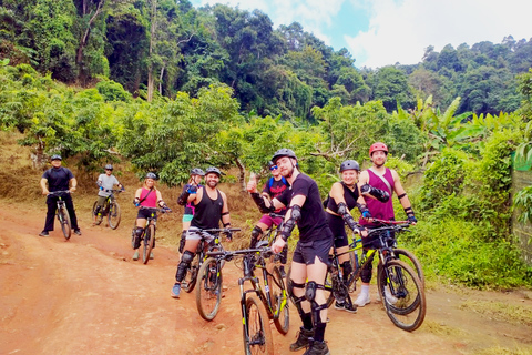 Chiang Mai: 20km Downhill Mountain Biking Challenge Suthep M