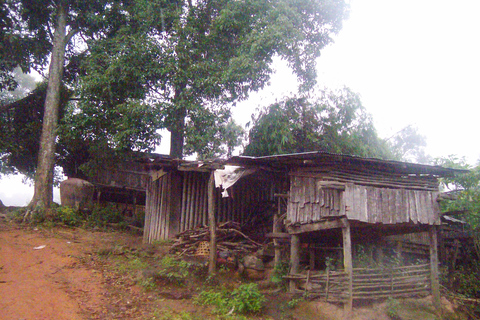 Chiang Mai: 20km Downhill Mountain Biking Challenge Suthep M