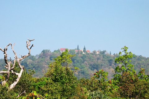 Chiang Mai: 20km Downhill Mountain Biking Challenge Suthep M