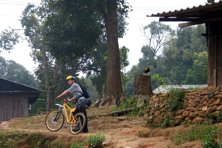 Chiang Mai: 20km Downhill Mountain Biking Challenge Suthep M