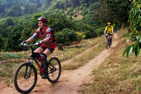 Chiang Mai: 20km Downhill Mountain Biking Challenge Suthep M
