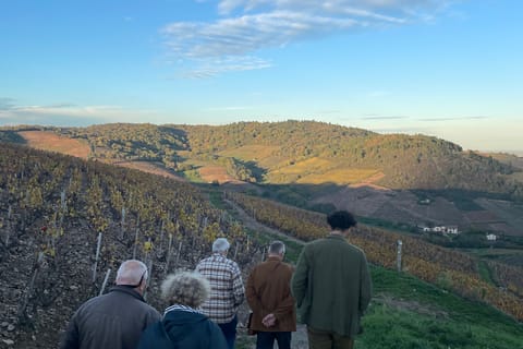 Private Beaujolais wine tour with a French sommelier