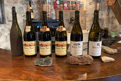 Private Beaujolais wine tour with a French wine expert Lyon: Private Beaujolais Wine Tour with French Sommelier