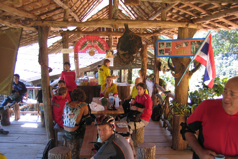 Chiang Mai: 20km Downhill Mountain Biking Challenge Suthep M