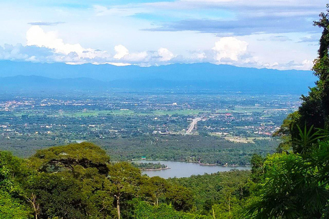 Chiang Mai: 20km Downhill Mountain Biking Challenge Suthep M