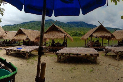 Chiang Mai: 20km Downhill Mountain Biking Challenge Suthep M