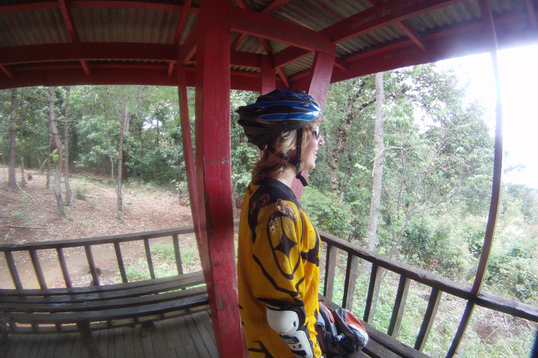 Chiang Mai: 20km Downhill Mountain Biking Challenge Suthep M