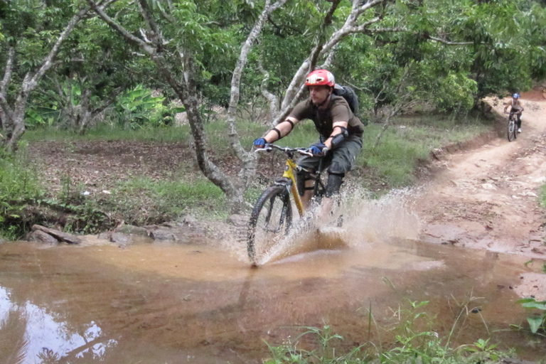 Chiang Mai: 20km Downhill Mountain Biking Challenge Suthep M