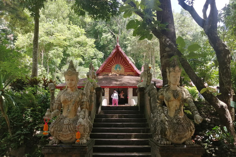 Chiang Mai: Parque Nacional Doi Suthep: caminhadas e ciclismo de lazerChiang Mai: caminhada e passeio de bicicleta no Parque Nacional Doi Suthep