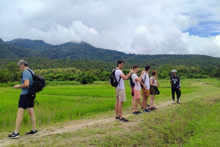 Chiang Ma: Doi Suthep National Park Wandel- en fietstocht