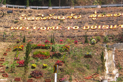 Chiang Mai: Parque Nacional Doi Suthep: caminhadas e ciclismo de lazerChiang Mai: caminhada e passeio de bicicleta no Parque Nacional Doi Suthep