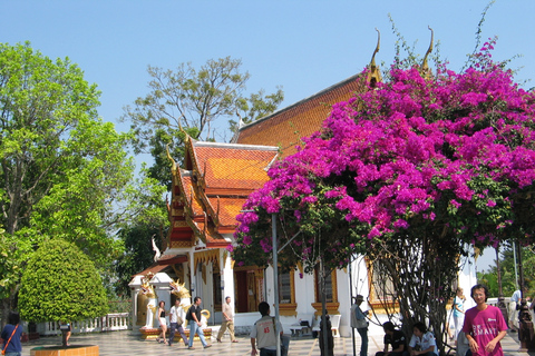 Chiang Ma: Doi Suthep National Park Hike & Bike Tour