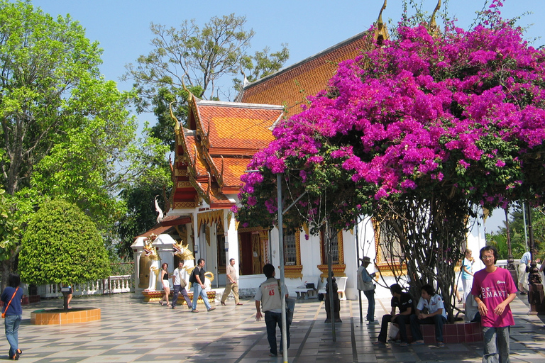 Chiang Mai: Doi Suthep nationalpark Vandring och cykling på fritidenChiang Mai: Fotvandring och cykeltur i Doi Suthep nationalpark