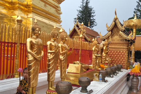 Chiang Mai: Caminhada de 7 horas no topo do Parque Nacional Doi Suthep