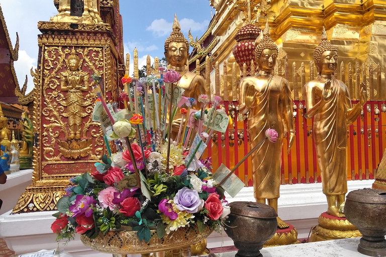 Chiang Mai: Caminhada de 7 horas no topo do Parque Nacional Doi Suthep