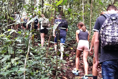 Chiang Mai: wandeling van 6 uur naar de top van Doi Pui