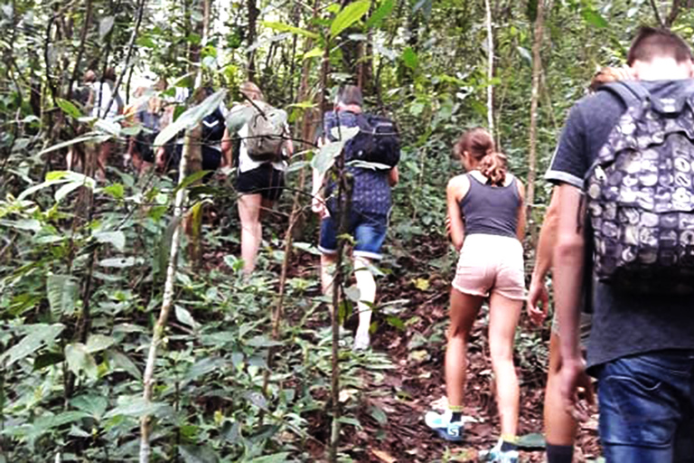 Chiang Mai: 7-Hour Doi Suthep National Park Summit Hiking