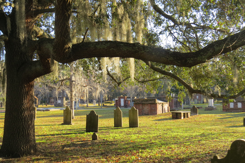 Offre groupée de visites guidées à pied de Savannah