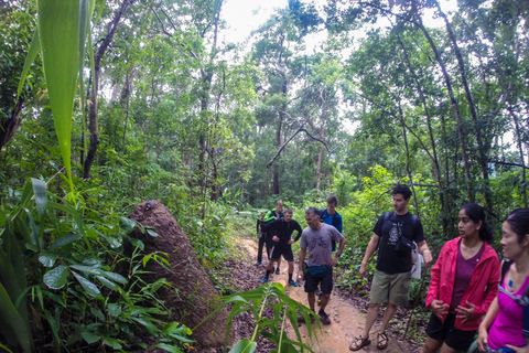 Chiang Mai: wandeling van 6 uur naar de top van Doi Pui