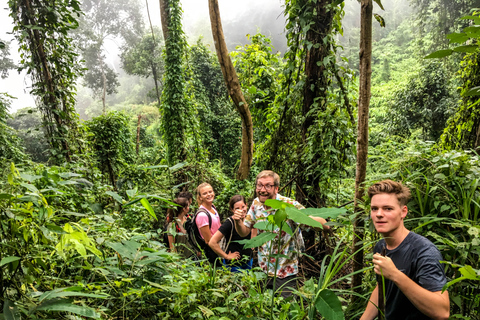 Chiang Mai: Caminhada de 7 horas no topo do Parque Nacional Doi Suthep