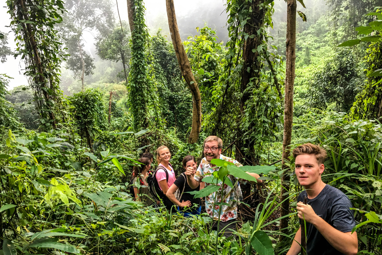 Chiang Mai: wandeling van 6 uur naar de top van Doi Pui