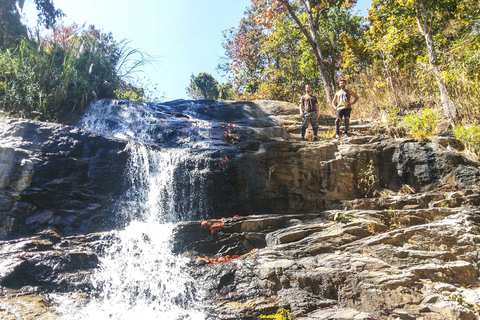 Chiang Mai: Doi Pui Nationalpark Gipfelwanderung