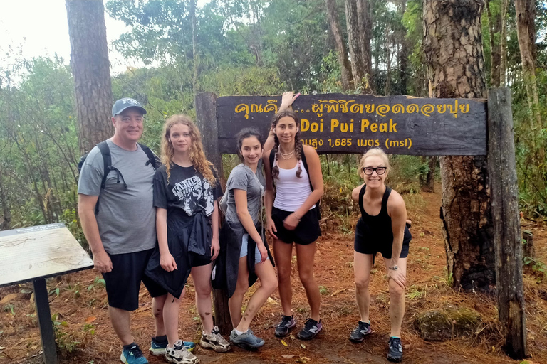 Depuis Chiang Mai : parc national de Doi Pui en 6 h