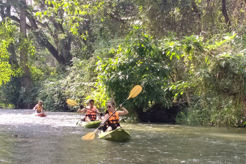 Chiang Mai: día completo en las cuevas Chiang Dao y kayaking