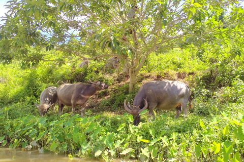 Chiang Mai: Wycieczka po jaskiniach Chiang Dao i spływ