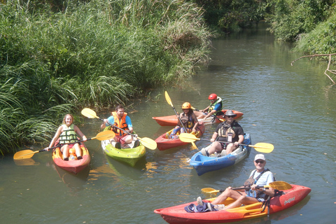 Chiang Mai: Heldag i Chiang Dao: grottor och djungelkajakpaddling i Chiang Dao