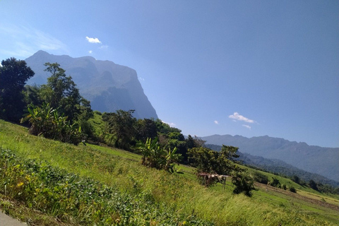 Chiang Mai: Excursão à Caverna Chiang Dao e Caiaque na Selva