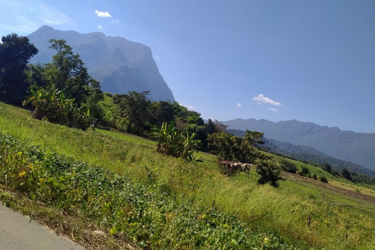 Depuis Chiang Mai : kayak en jungle et grottes de Chiang Dao