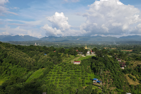 Chiang Mai: Excursão à Caverna Chiang Dao e Caiaque na Selva