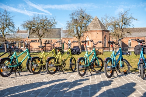 Gante: Visita guiada privada en bicicleta