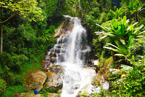 Chiang Mai: wandeling van 6 uur naar de top van Doi Pui