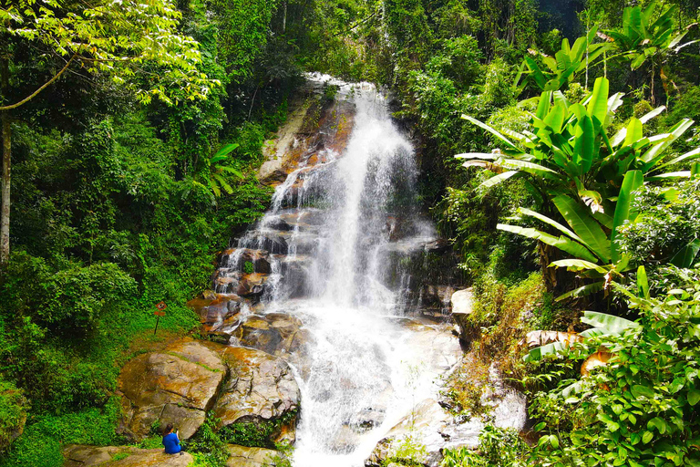 Depuis Chiang Mai : parc national de Doi Pui en 6 h