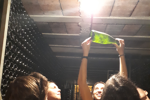 From Barcelona: 3 wineries with hotel pick-up and Lunch From Barcelona: Wine and Cava Tour with Tastings and Lunch