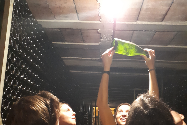 From Barcelona: 3 wineries with hotel pick-up and Lunch From Barcelona: Wine and Cava Tour with Tastings and Lunch